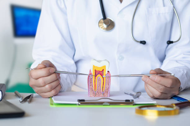 Best Emergency Wisdom Tooth Extraction in Ashley, OH